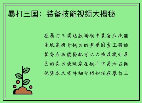 暴打三国：装备技能视频大揭秘